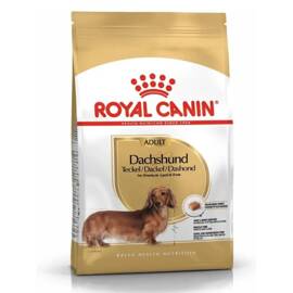 Sucha karma dla psa Royal Canin Dachshund Adult dorosły i starszy jamnik 1,5 kg
